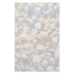 Sea Shells Personalized Stationery