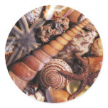Sea shells stickers