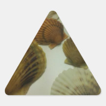 Sea Shells Sticker