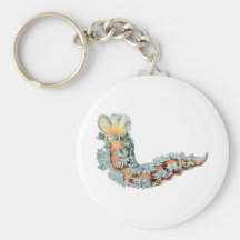Sea Slug Keychains