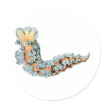 Sea Slug Stickers