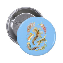 Sea slugs buttons