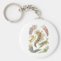Sea slugs keychains