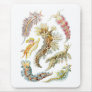 Sea slugs mousepads