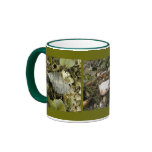 Sea Snail, Hermit Crab, Starfish mugs