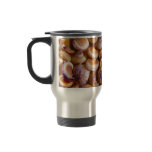 Sea Snail Shells Cyclops Nassa Cyclope Pellucidus mugs