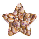 Sea Snail Shells Cyclops Nassa Cyclope Pellucidus stickers
