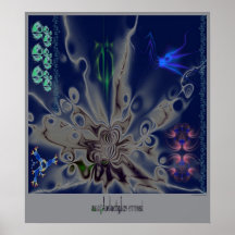 sea spider posters
