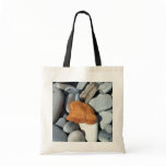 Sea Sponge 1 Bag