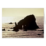 Sea Stack - Off Redwood National Park Card