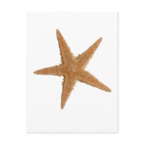 Sea star