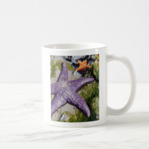 Sea Stars 21x25 Paint2 Shrpnd, www.DLWagner.com Mugs
