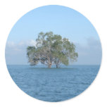 Sea Tree stickers