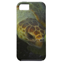 Sea turtle 2