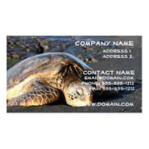Sea Turtle Business Card
