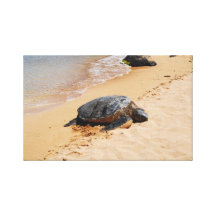 Sea Turtle (Canvas) Gallery Wrap Canvas