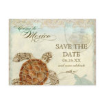 Sea Turtle Coastal Beach Destination Save the Date