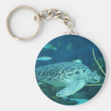 sea turtle key chains