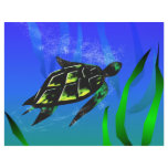 Sea Turtle letterhead