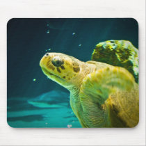 Sea Turtle Mousepads