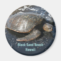 Sea Turtle on Black Sand Beach Hawaii Refrigerator Magnets