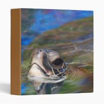 Sea Turtle Poking Head Up Binder