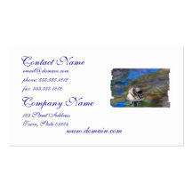 Sea Turtle Poking Head Up Business Cards
