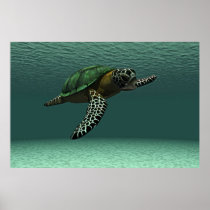 Sea turtle poster