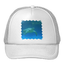 Sea Turtle Swim Baseball Hat