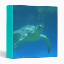 Sea Turtle Swim  Binder