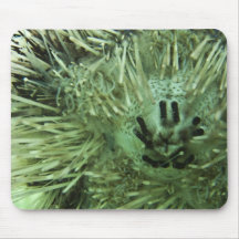 Sea Urchin I Mouse Mat