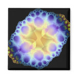 sea urchin magnet