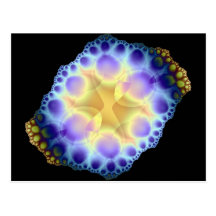 sea urchin postcard
