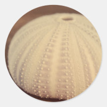 Sea Urchin Round Sticker