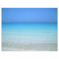 SeaaScape