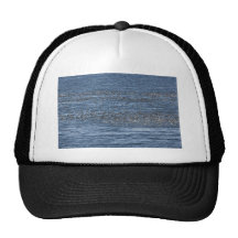 Seabird flock near Kasatochi Island Trucker Hats
