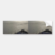 Seabirds off Tiglax bow near Chagulak Island Bumper Sticker