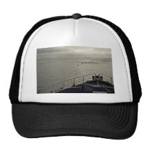 Seabirds off Tiglax bow near Chagulak Island Hats