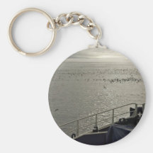 Seabirds off Tiglax bow near Chagulak Island Key Chain