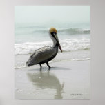 SeaFog Pelican Poster