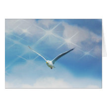 Seagull Bird in Flight Photo Cards