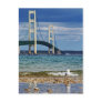 Seagull by Mackinac Bridge Post Cards