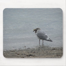 Seagull eating starfish mouse pads