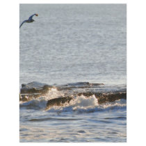 Seagull Custom Flyer