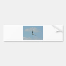 Seagull Flying On Sky High Bumper Stickers