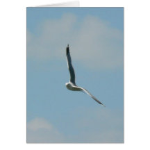 Seagull Flying On Sky High Card
