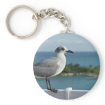 Seagull In Paradise Keychain