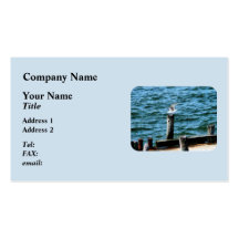 Seagull Landing Business Card Templates