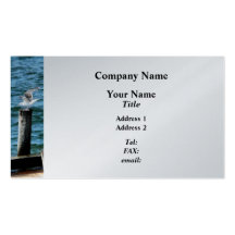 Seagull Landing - Platinum Business Cards