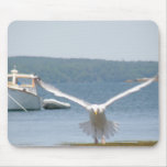 Seagull Mouse Pad